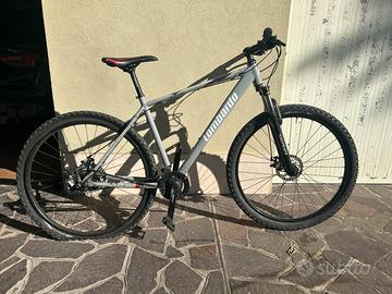 Mountain bike Lombardo grigia