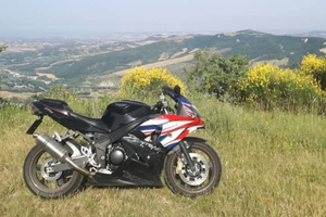 Daytona Triumph 650 4T UK flag