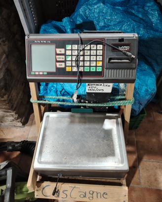 BILANCIA OMOLOGATA  12 volt 