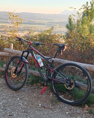 biciTrek Remedi 9.8
