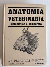 Anatomia veterinaria Pelagalli-Botte vol. 2
