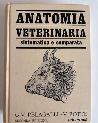 Anatomia veterinaria Pelagalli-Botte vol. 2