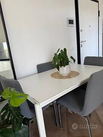 Tavolo e con 4 sedie