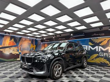 Bmw X1 sDrive 18d (106)