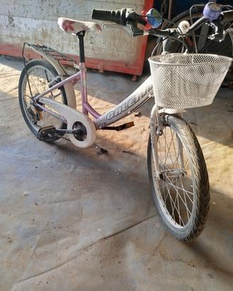 bicicletta 