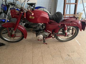 Ducati 98 - 1955