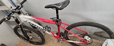 cannondale monoforcella moutain bike