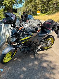 MT 03