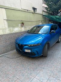 Alfa Romeo Tonale 1.6 Diesel, 130 cv Blu