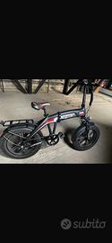 Bici elettrica