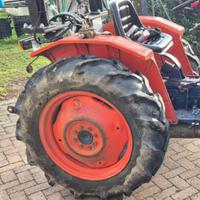 Ruote trattore same Delfino 35 dt