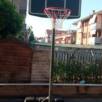 Canestro con piantana da giardino.