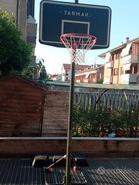 Canestro con piantana da giardino.