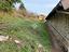 Immagine 28