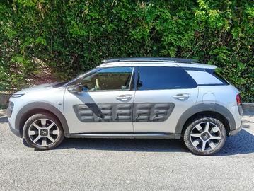 C4 Cactus Shine
