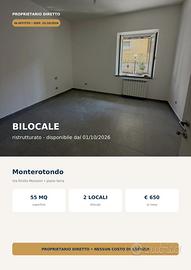Bilocale ristrutturato 55 mq - Monterotondo (RM)