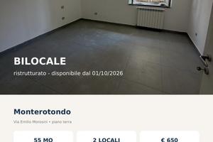 Bilocale ristrutturato 55 mq - Monterotondo (RM)