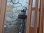 Immagine 26