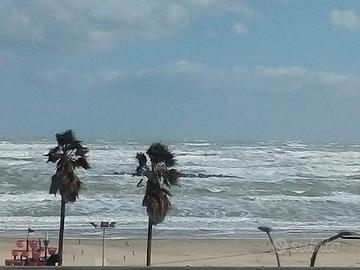 Appartamento Lungomare Matteotti Pescara