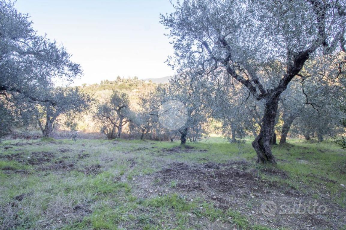 TER. AGRICOLO A PALOMBARA SABINA - Vista 3