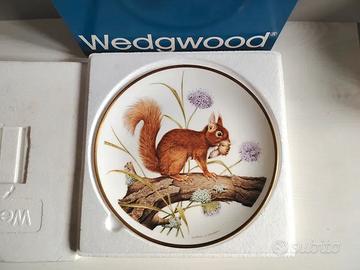 Piatto Squirrel. Porcellana inglese Wedgwood. 23cm