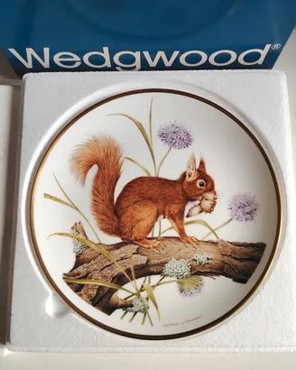 Piatto Squirrel. Porcellana inglese Wedgwood. 23cm