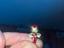Immagine 4