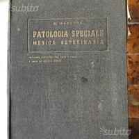 Libri di veterinaria del 1890