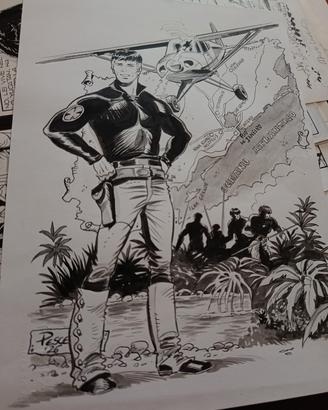 Tavole originali e disegni originali 