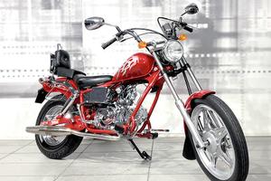 Pagsta Regal Raptor 100