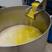 uliveto in tavola 2025/26