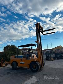 S139 - Muletto 130 q Raniero