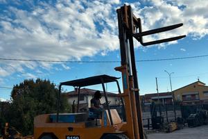 S139 - Muletto 130 q Raniero