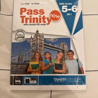 pass trinity grades 5-6