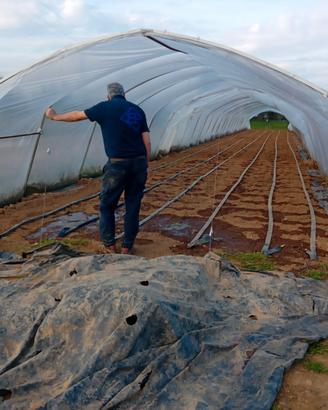 6 SERRE A TUNNEL 5 X 50 ENTRO GIOVEDÌ  2 APRILE 