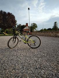 bici ragazzo ruote da 24
