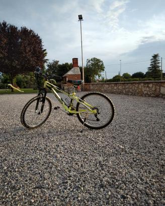 bici ragazzo ruote da 24