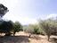 Immagine 25