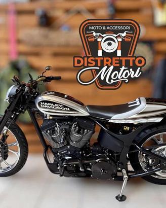 ALTRE MOTO O TIPOLOGIE Altro softtail xr124 s&s