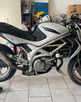 Suzuki gladius