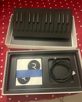 Roli Seaboard Block