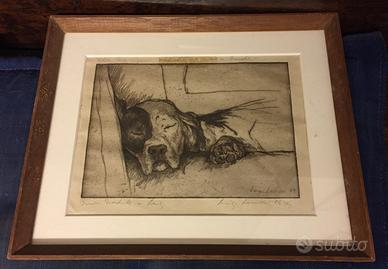 Cane che dorme, Luigi Lucioni, 1949