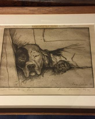 Cane che dorme, Luigi Lucioni, 1949