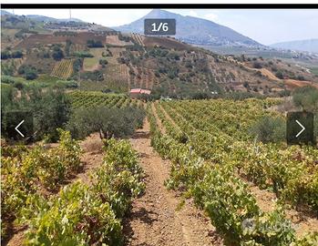 Terreno e rustico