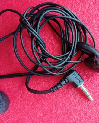 Auricolari e caricabatterie da auto