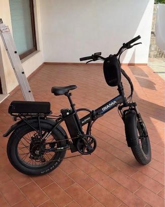 E-bike Giama Alpha 2 anni di vita.