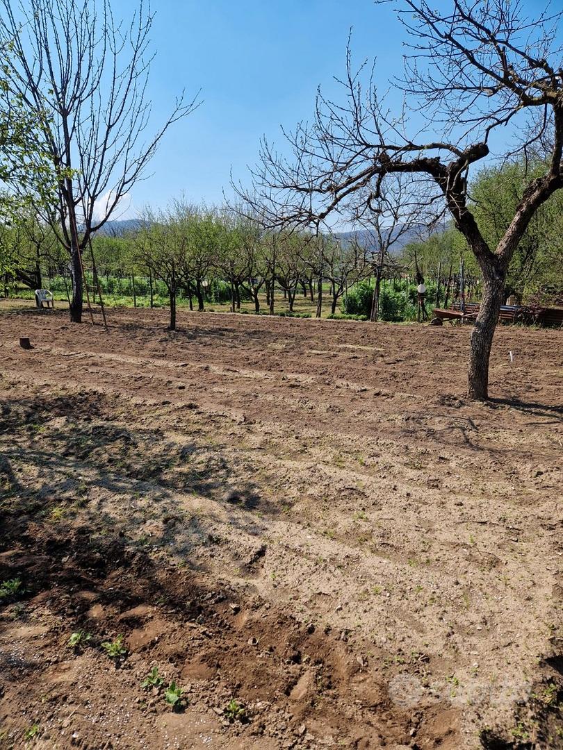 Terreno agricolo - Vista 4