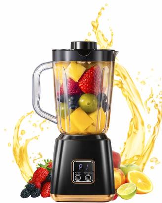 Frullatore Professionale