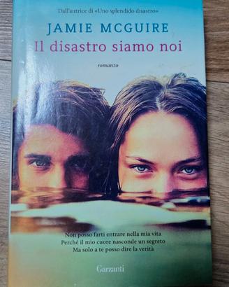 "Il disastro siamo noi" - Jamie McGuire