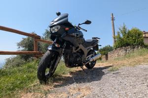 Yamaha TDM 900 (2003) - Pronta all'uso 